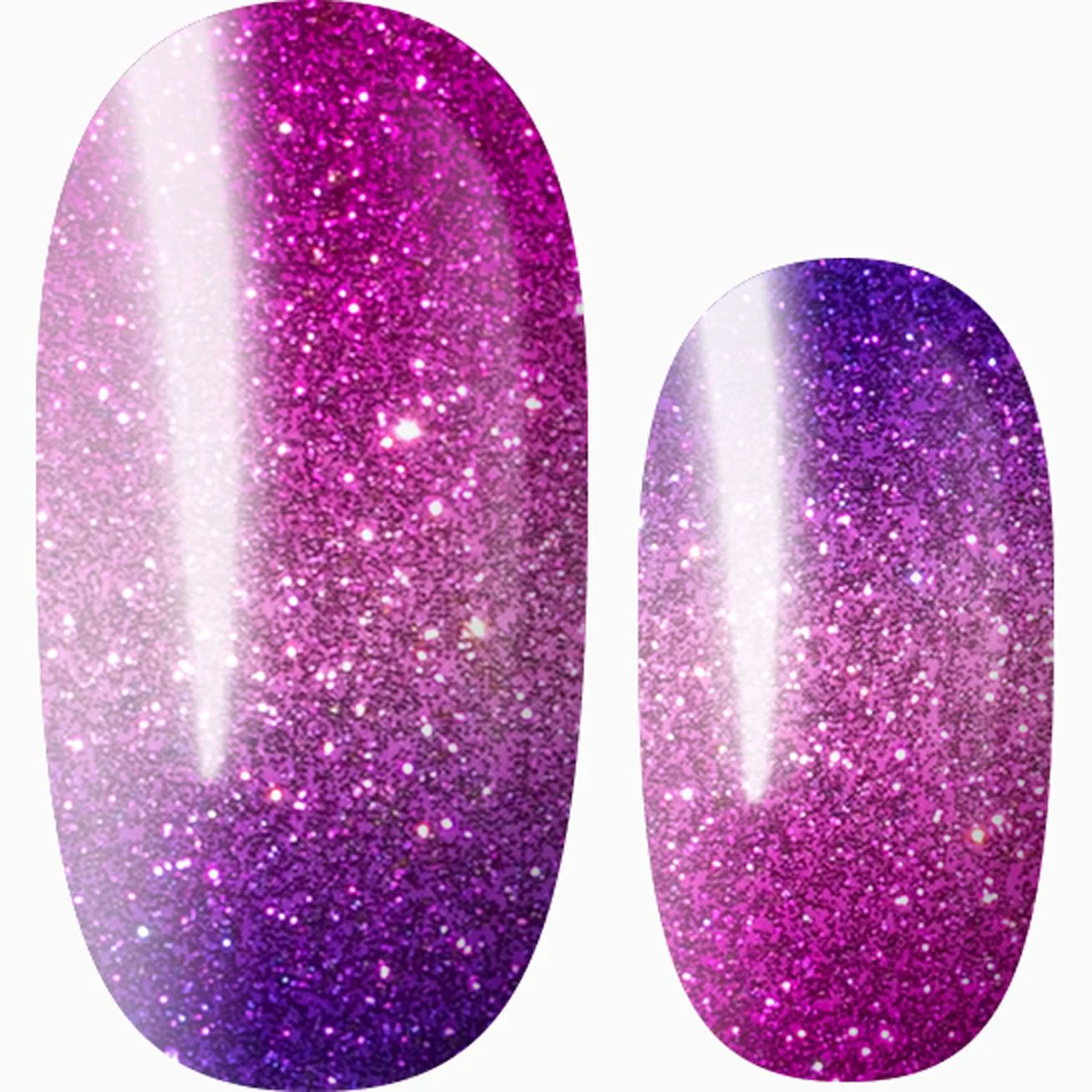Fuchsia Fade