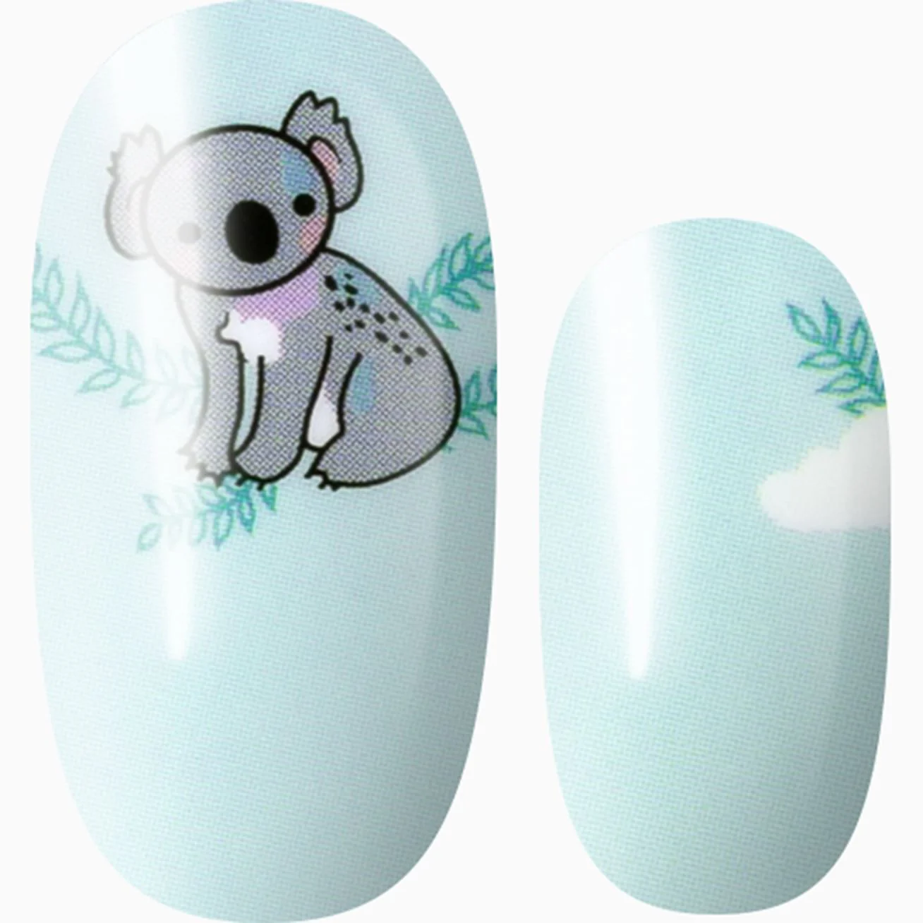 Koala-ty Tips
