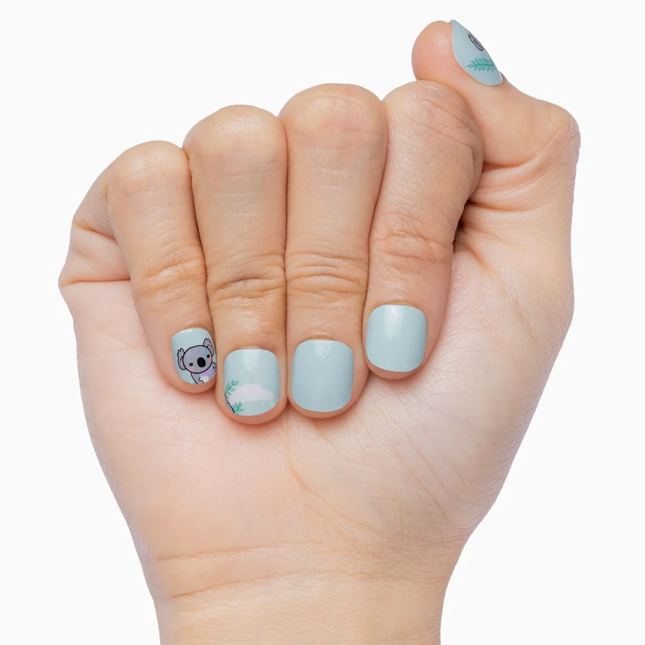 Koala-ty Tips - Image 3